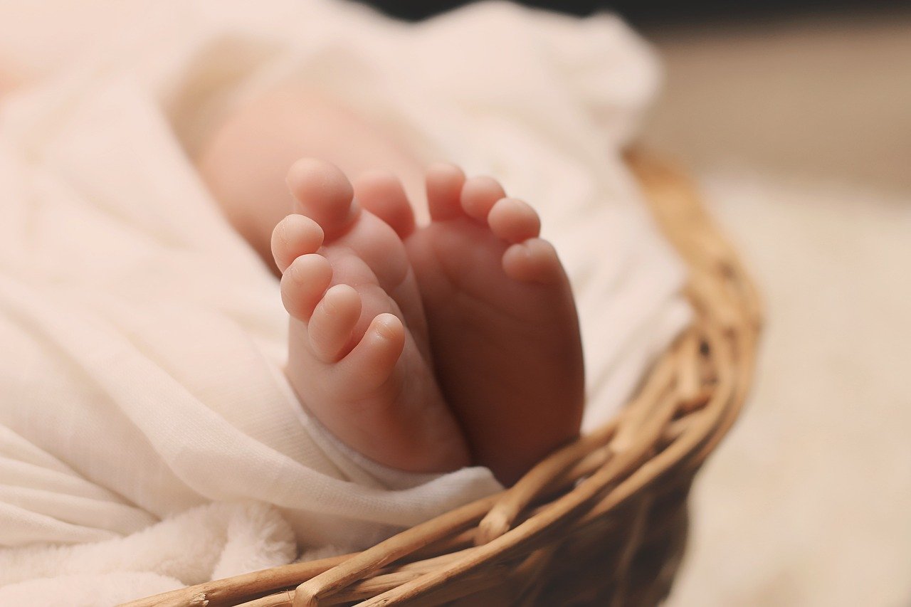 From Conception to Birth: Tracking Your Baby’s Growth Month by Month